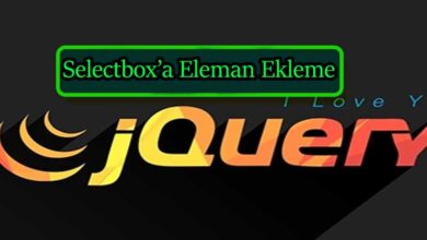 selectbox-veri-ekleme