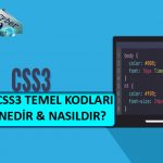 CSS3 Temel Kod Yapısı Nedir Ve Nasıl Kullanılır?